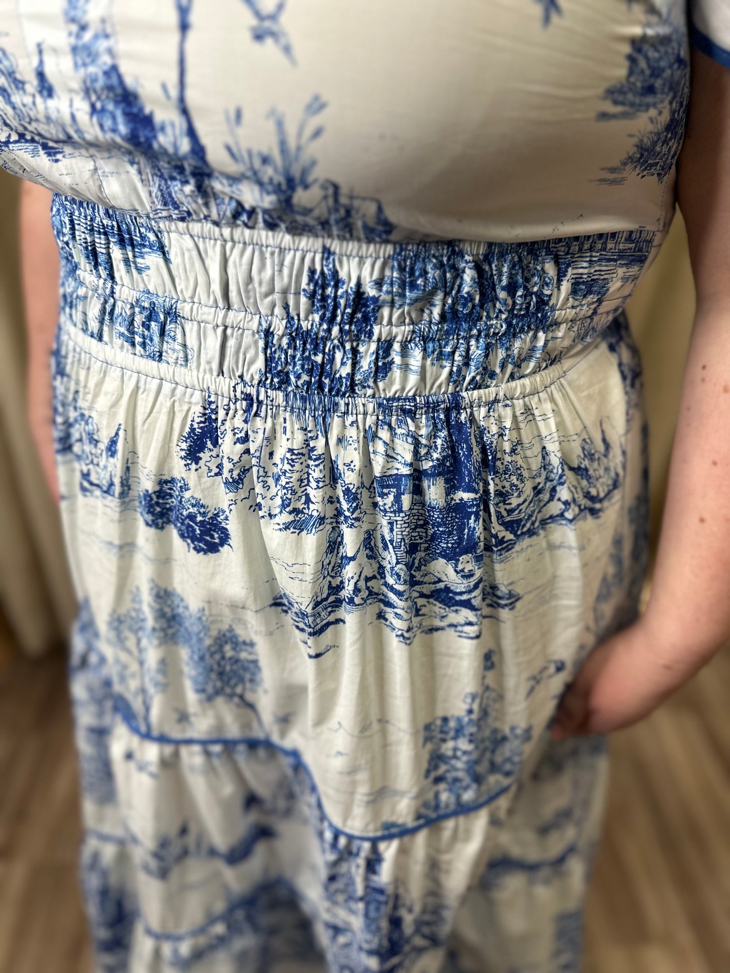 Curvy-Chasing Our Dreams Dress