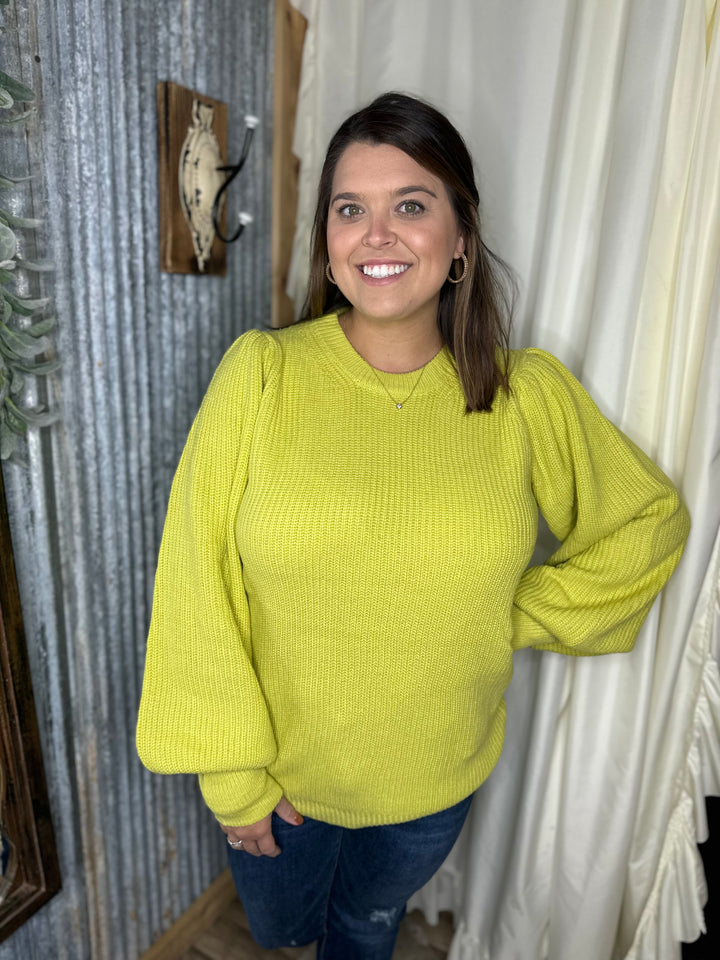 Curvy Dreaming of Winter-Lime