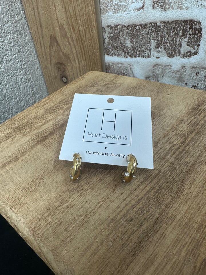 Hart Earrings- 1