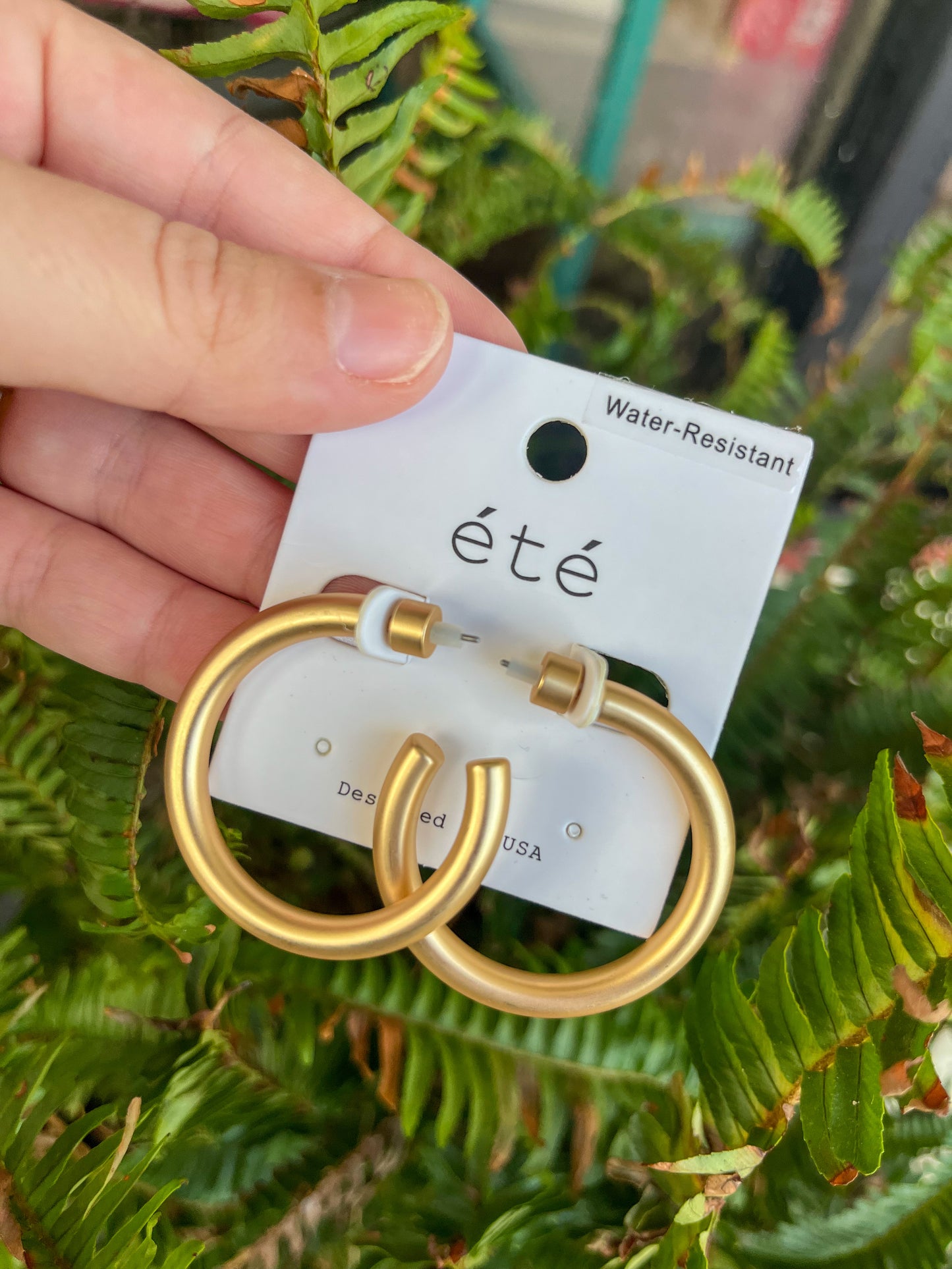 Matte Gold Hoops