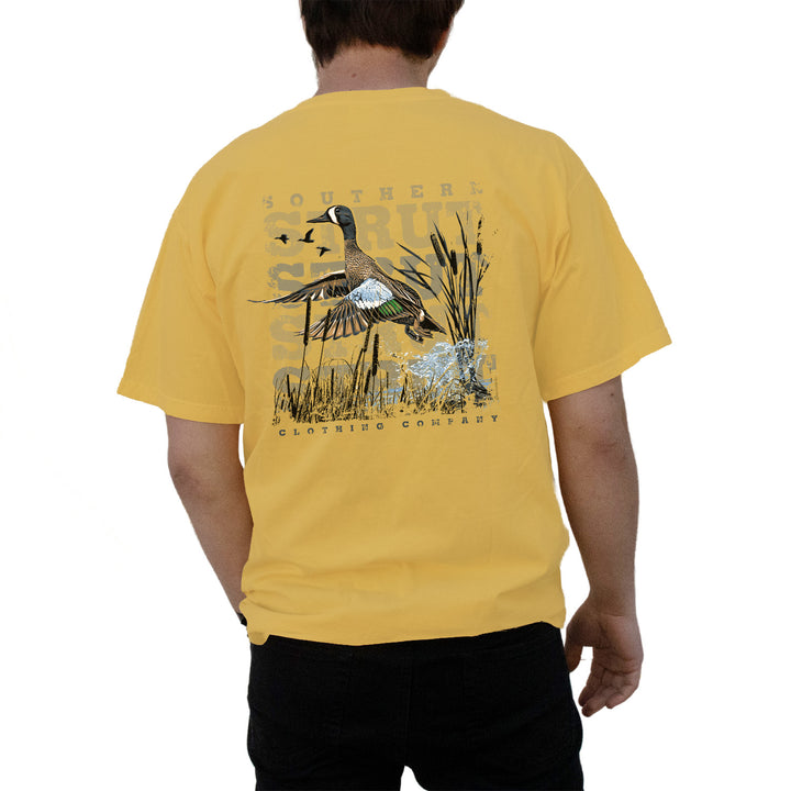 Blue-Winged Teal Takeoff