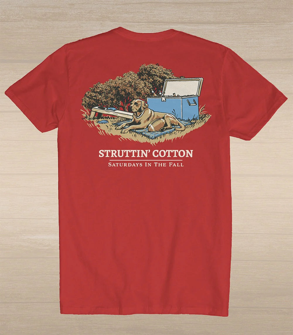 Saturdays In The Fall