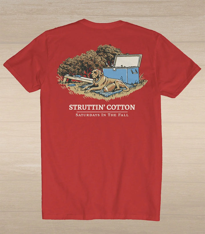 Saturdays In The Fall