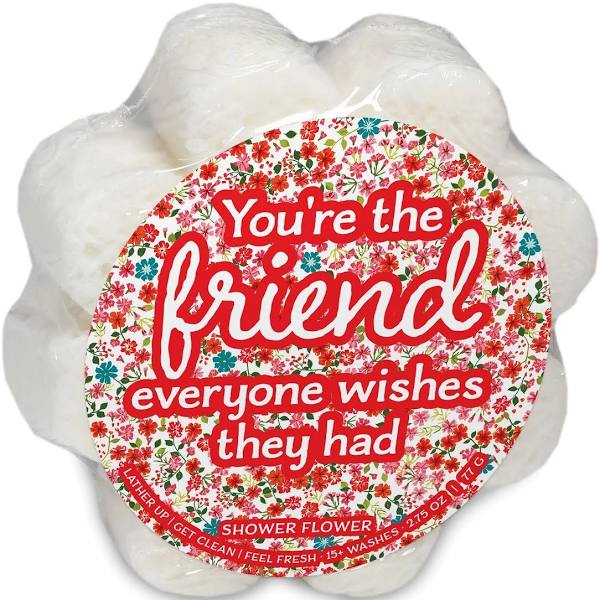 You're the friend everyone wishes they had soap sponge