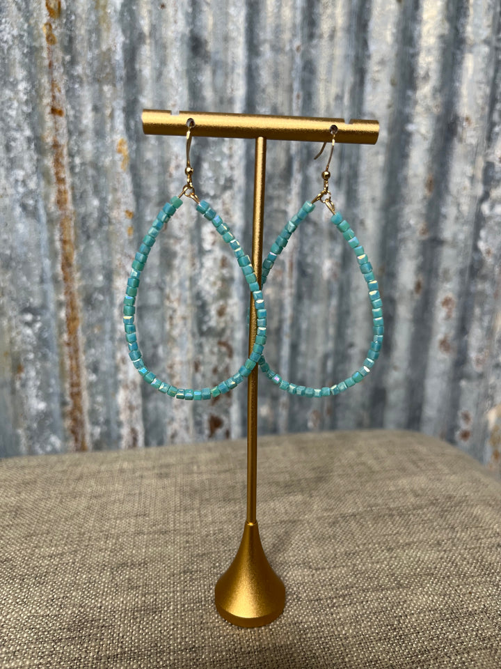Iridescent Earrings
