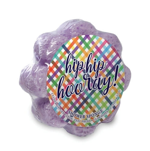Celebration Soap Sponge