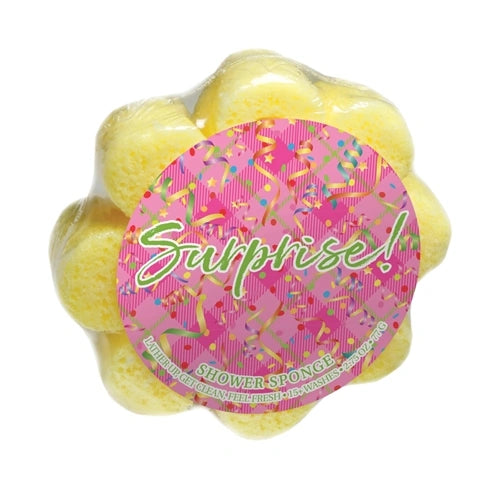 Celebration Soap Sponge