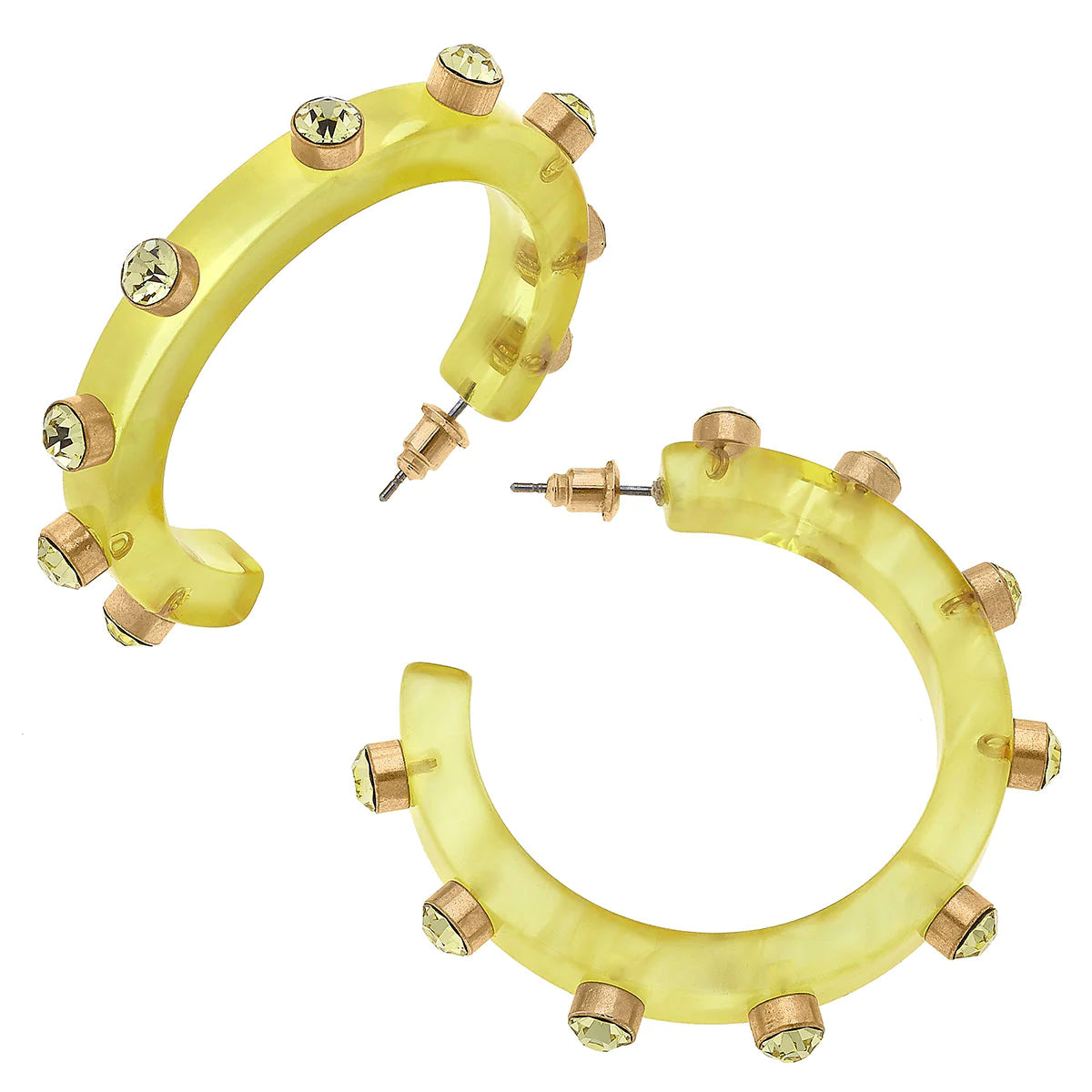 Renee Resin & Rhinestone Hoop Earrings