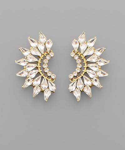 Glass Stone Wing Earrings