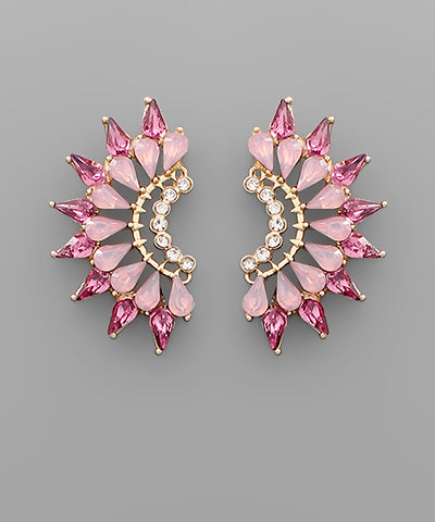 Glass Stone Wing Earrings