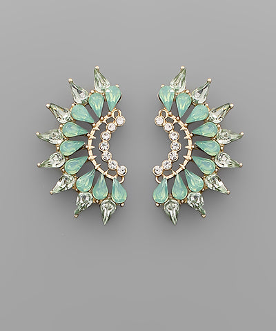 Glass Stone Wing Earrings