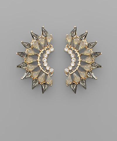 Glass Stone Wing Earrings