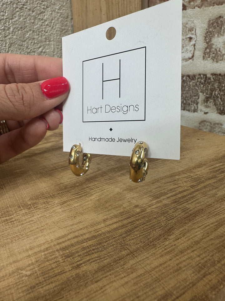 Hart Earrings- 1
