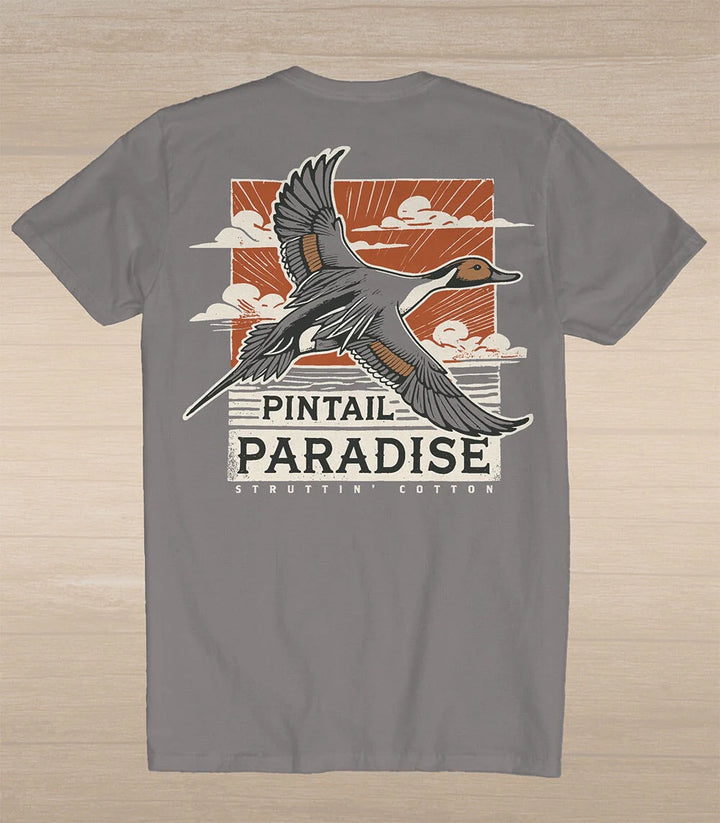 Pintail Paradise
