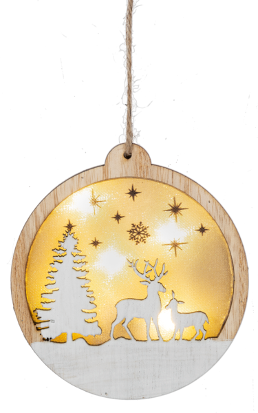 Light Up Ornaments