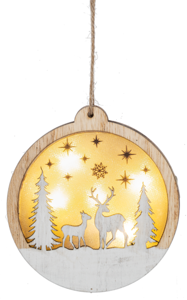 Light Up Ornaments