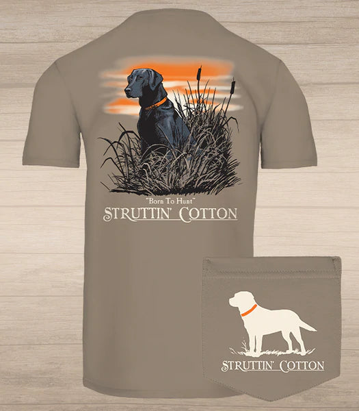 Brown Sunset Dog T Shirt